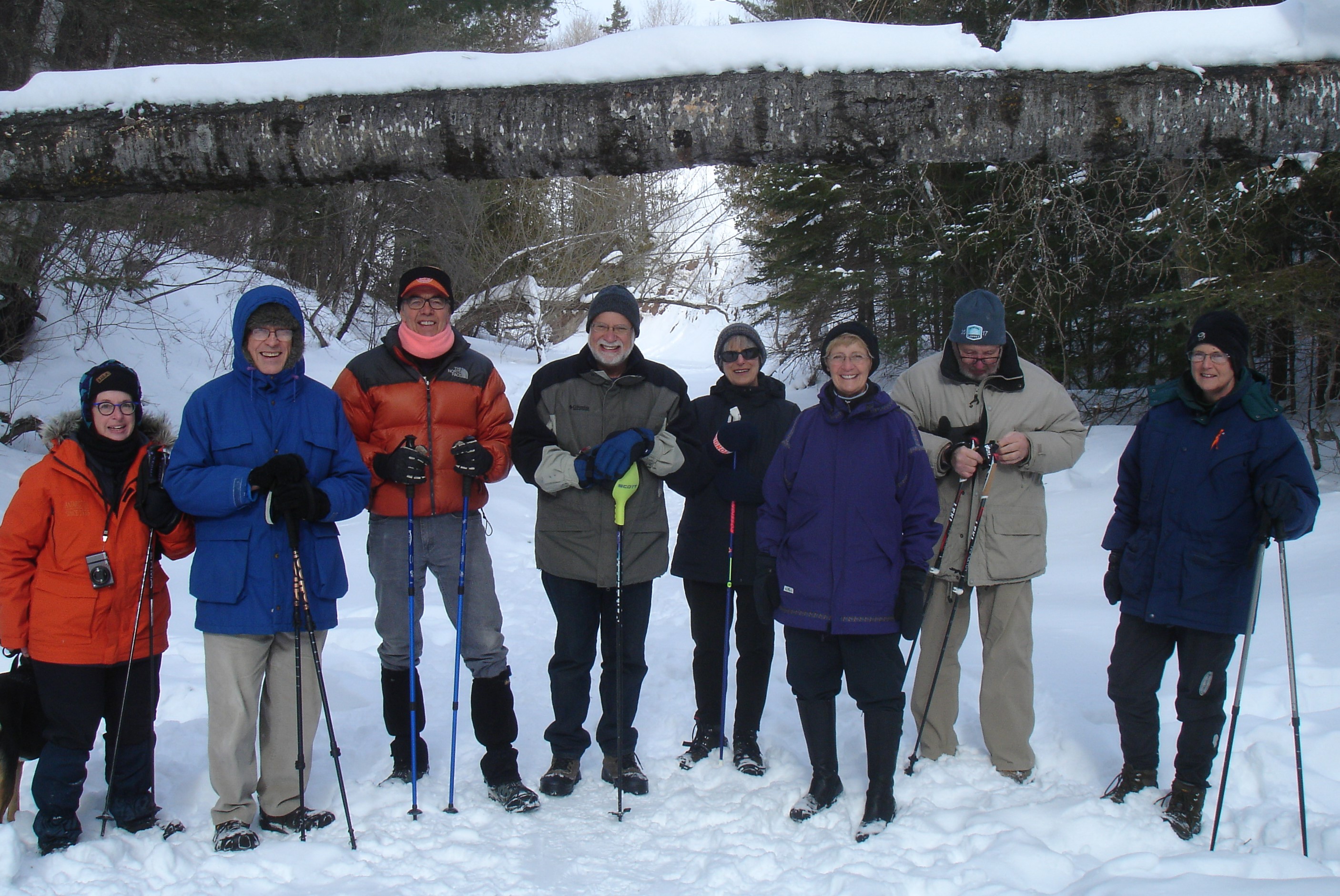 Members showshoeing in the winter woods